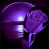 purple_soul